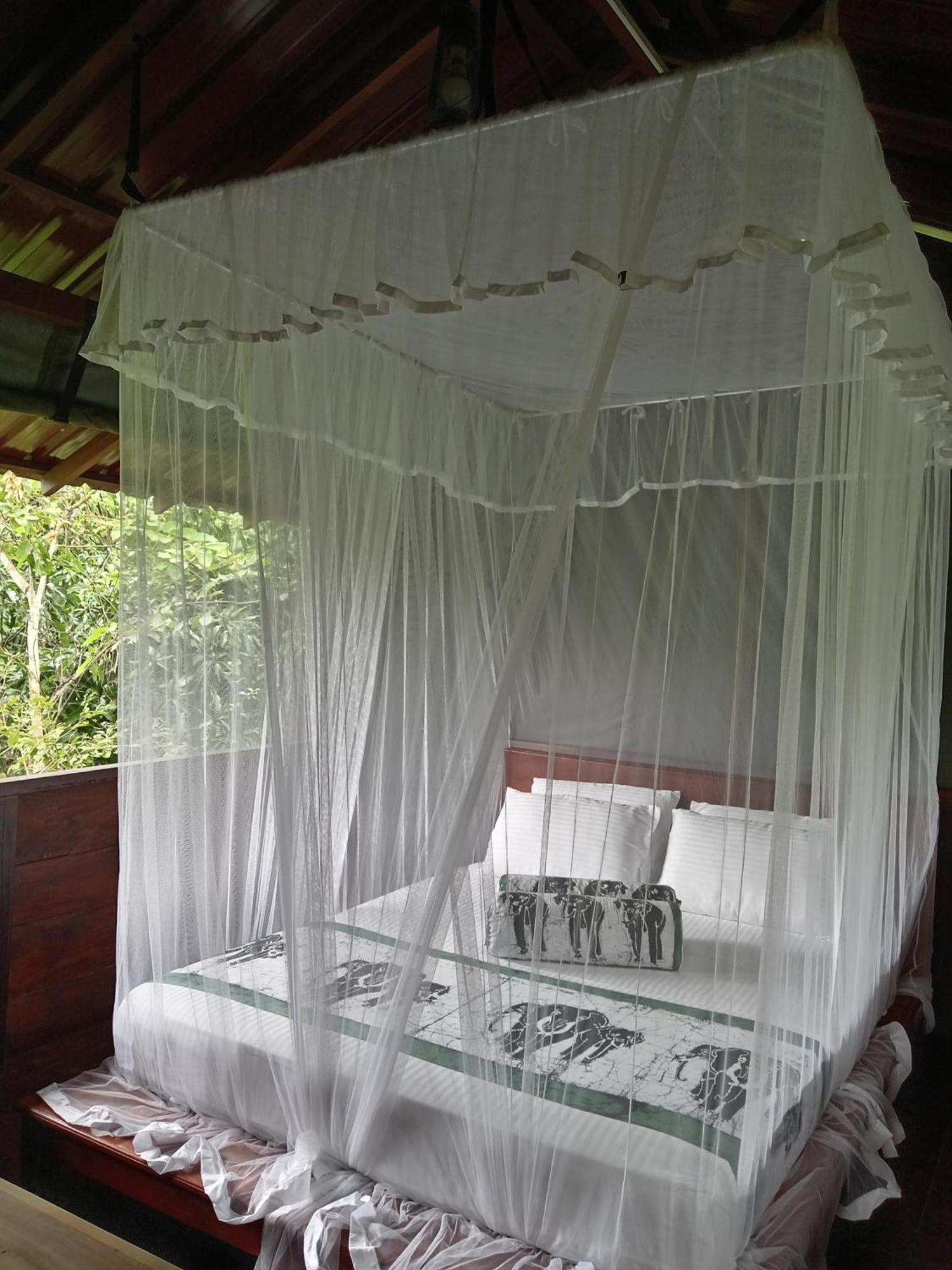 Dambulla Tree House Villa Exterior photo