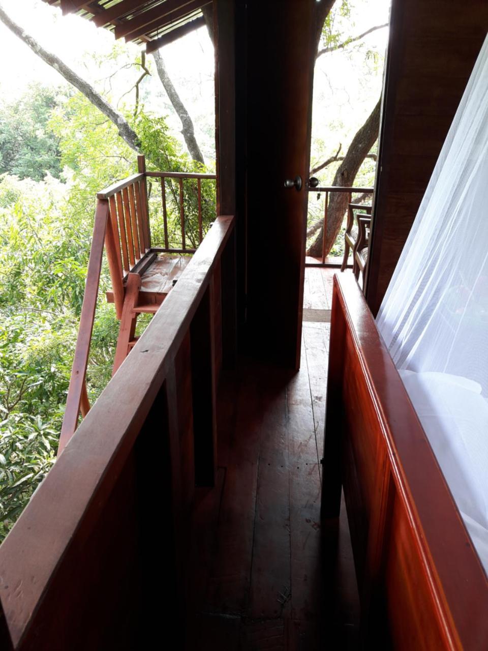 Dambulla Tree House Villa Exterior photo