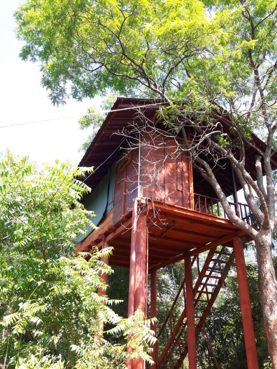 Dambulla Tree House Villa Exterior photo