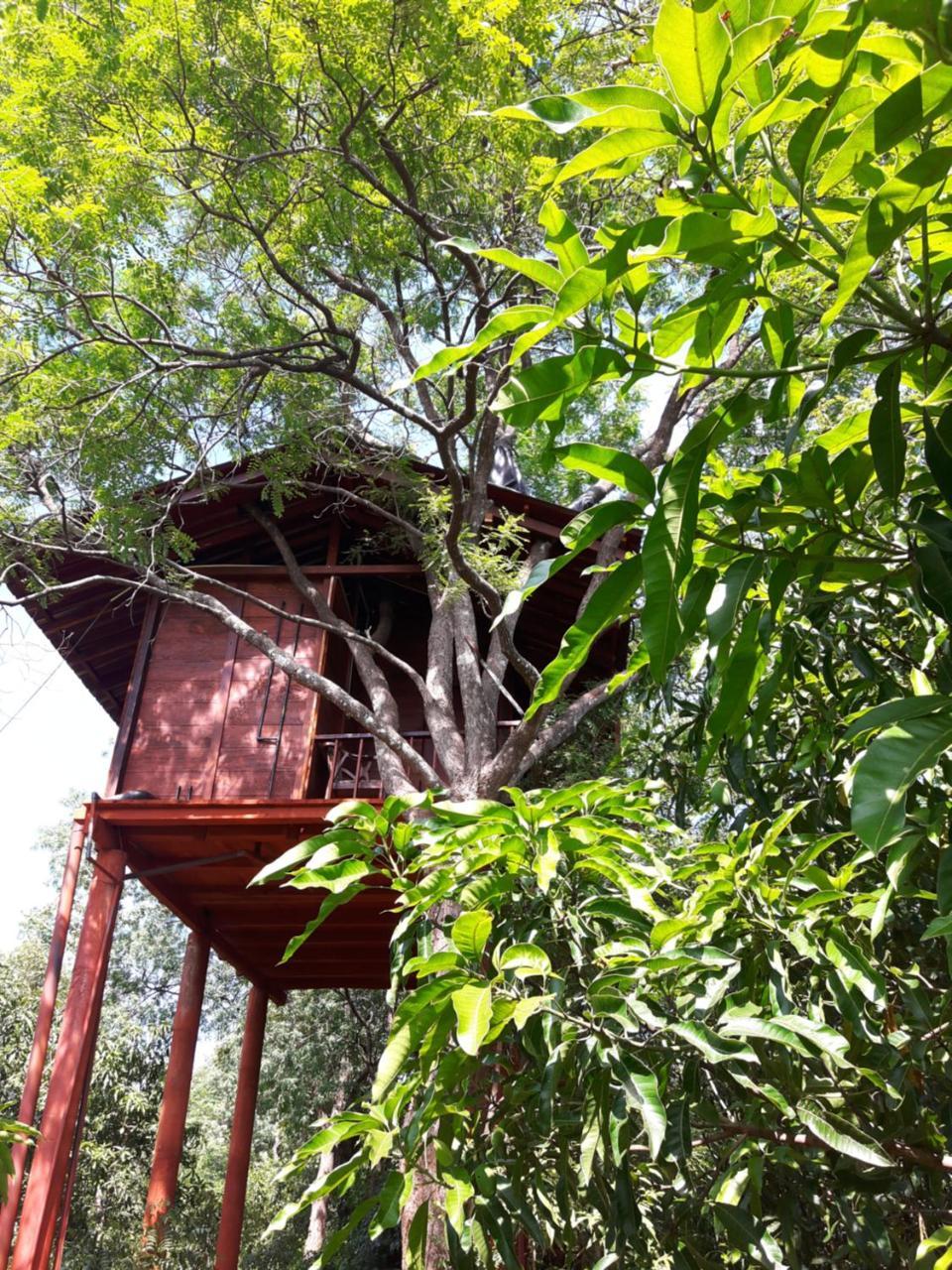 Dambulla Tree House Villa Exterior photo
